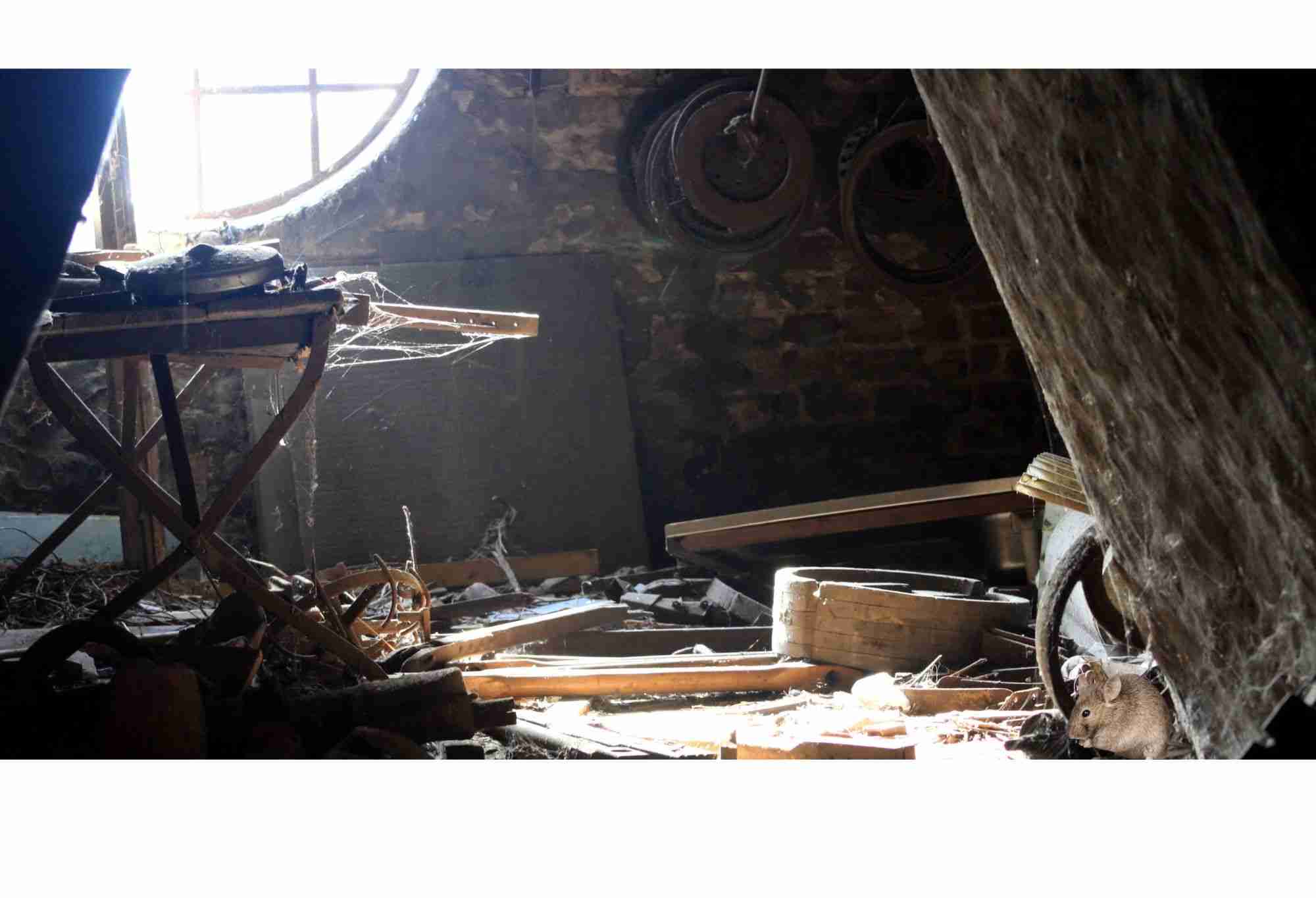 Dirty attic Dirty attic full of debris
