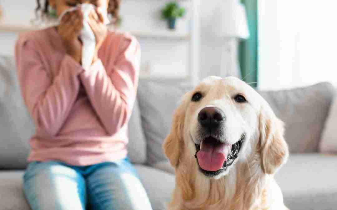 Can air duct cleaning help allergies?