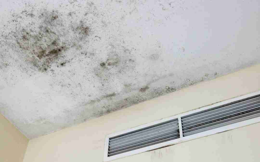 Can air duct cleaning remove mold?