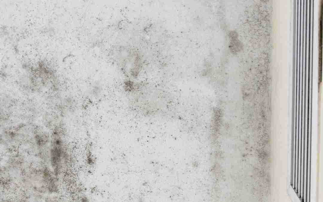 Should Air Ducts Be Cleaned Before Mold Treatment?