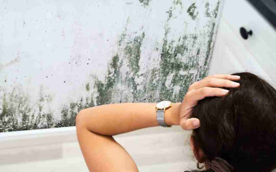 Will Cleaning My Air Ducts Remove The Mildew Smell?