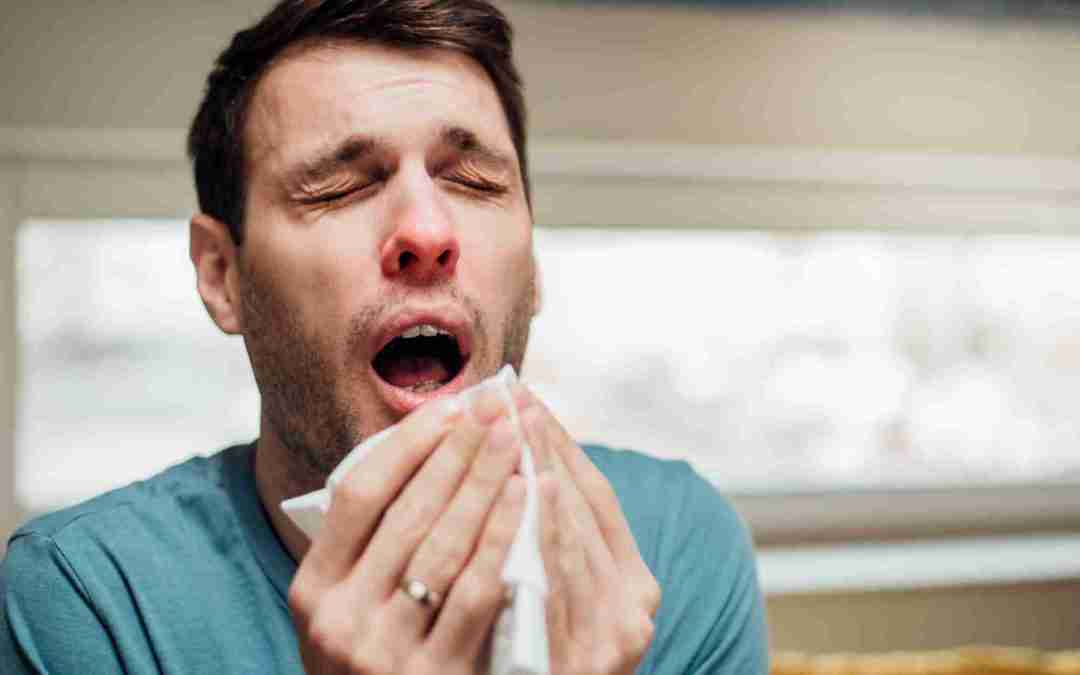 Can Attic Insulation Make You Sick?
