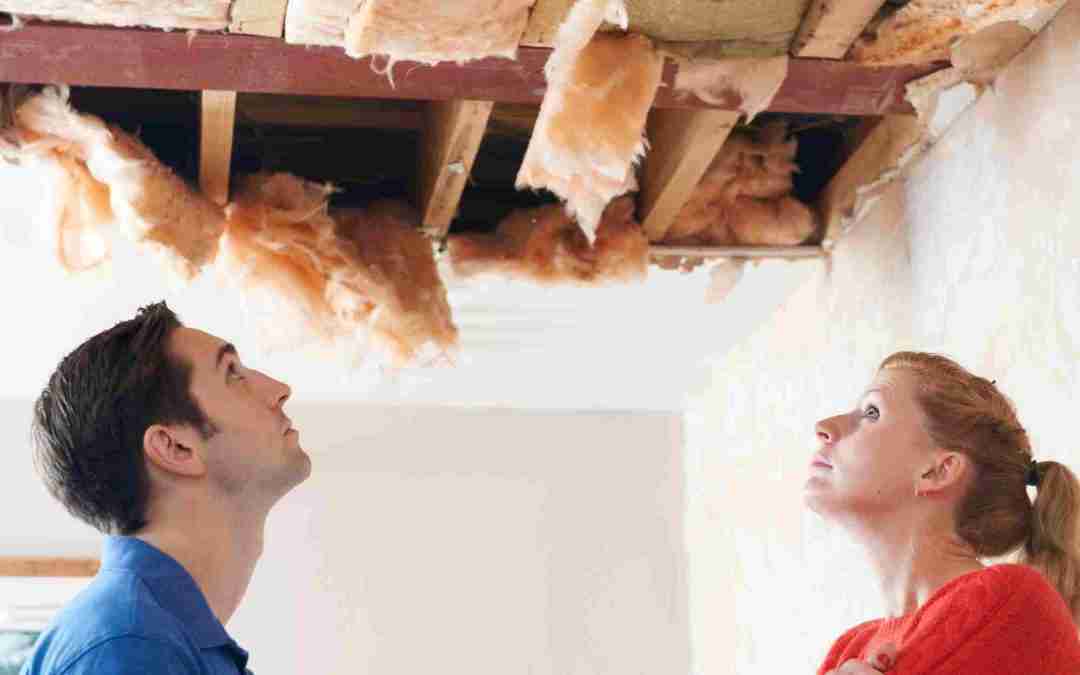 How To Remove Wet Insulation From Attic?