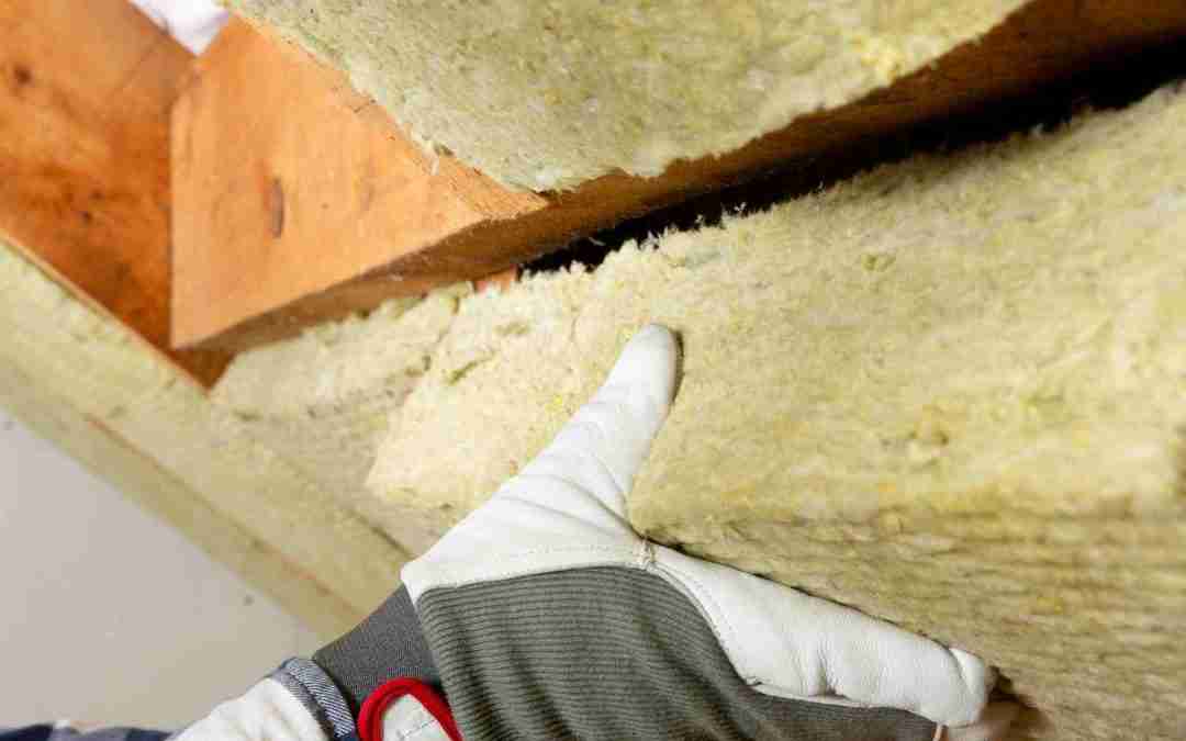 What Are The Advantages Of Professional Attic Insulation Removal?